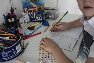 Nová vláda zasáhne do inkluze. Rušit se ale nebude, shodly se strany - Seznam Zprávy